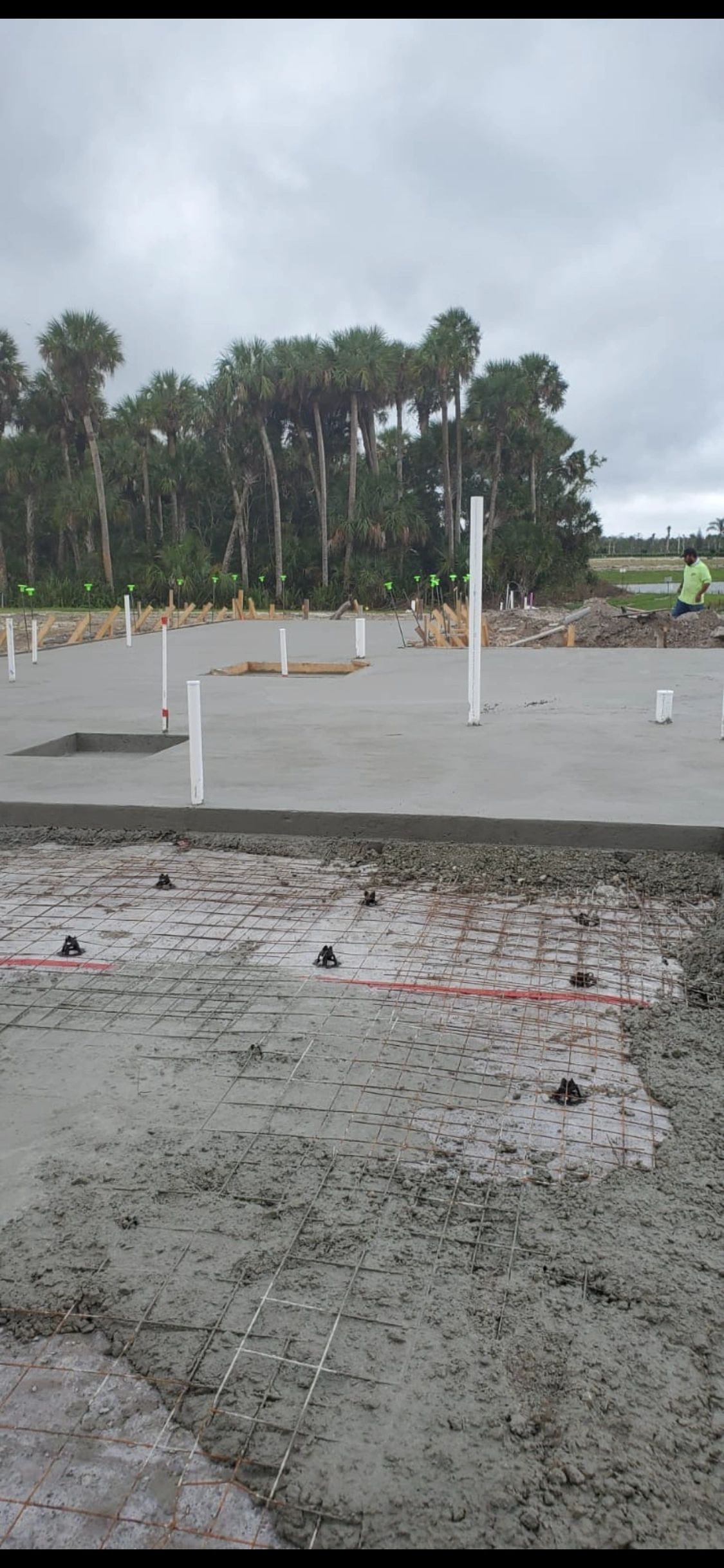Partially poured concrete slab with rebar and worker near palm trees